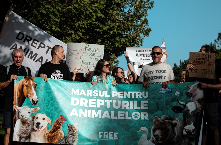 Marșul Pentru Drepturile Animalelor 2024: Zeci de organizații pentru protecția animalelor solicită acțiuni imediate pentru bunăstarea acestora